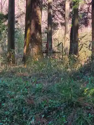 鹿島神社 本殿(栃木県)