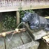 菅原院天満宮神社の手水舎