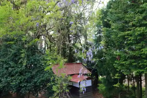 藤稲荷神社の自然