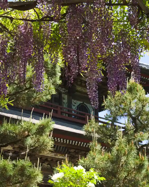 福増寺(群馬県)