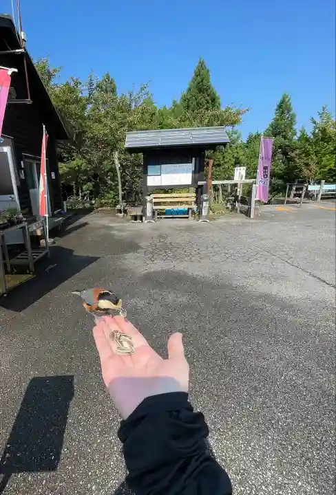 横峰寺(愛媛県)