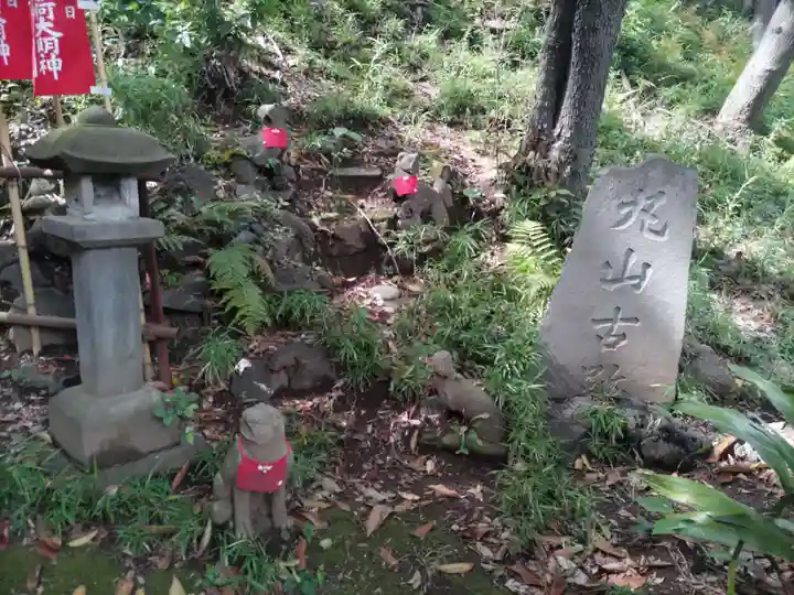 円山随身稲荷大明神の狛犬