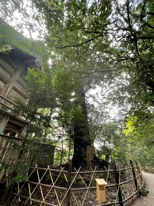 須佐神社(島根県)
