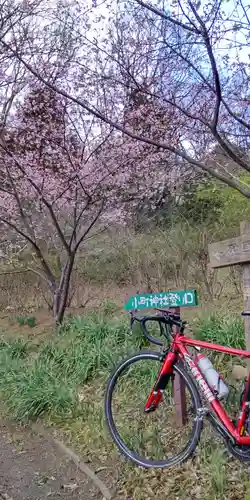 小町神社の自然
