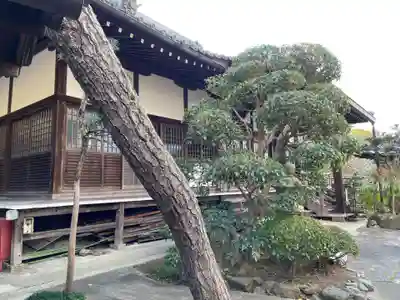 延仁寺(京都府)