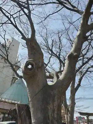 阿邪訶根神社(福島県)