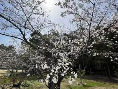 種河神社(大阪府)