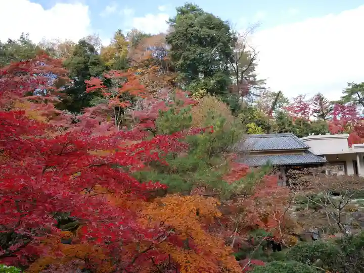 洞窟観音・徳明園・山徳記念館(群馬県)
