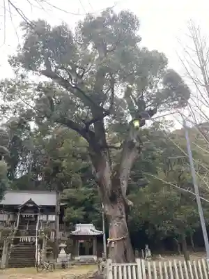 敷島神社(徳島県)