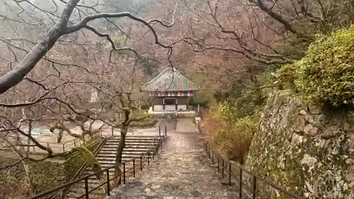 長谷寺(奈良県)