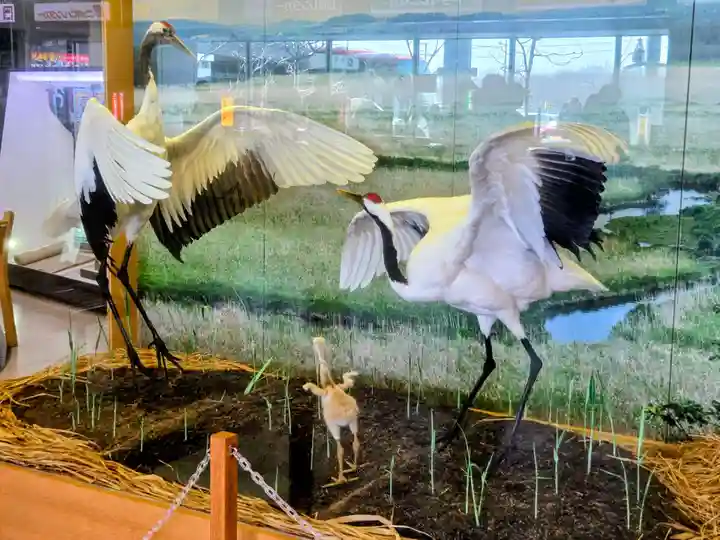 阿寒神社(北海道)