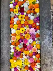 菅生神社の手水