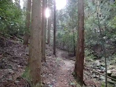 島大国魂神社の周辺
