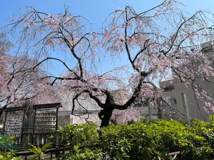 根岸八幡神社(神奈川県)