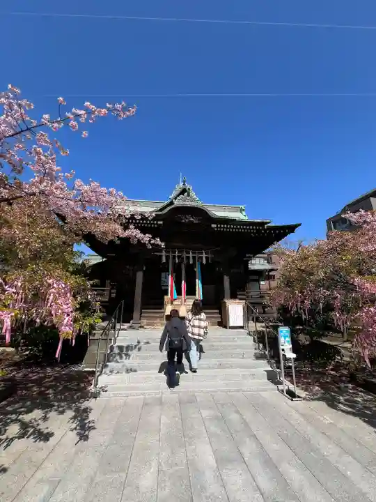 桜神宮(東京都)