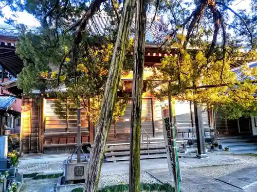 光明寺の本殿・本堂