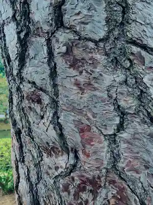 平等院(京都府)