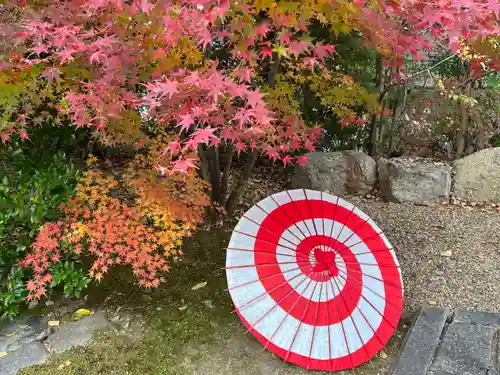勝林寺(京都府)