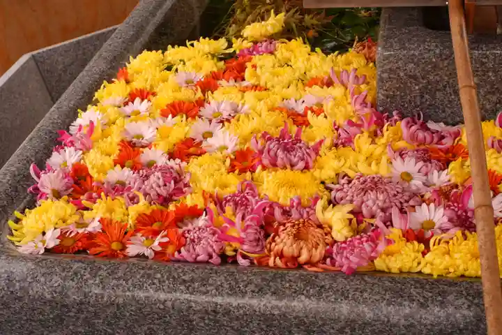 射水神社の手水舎