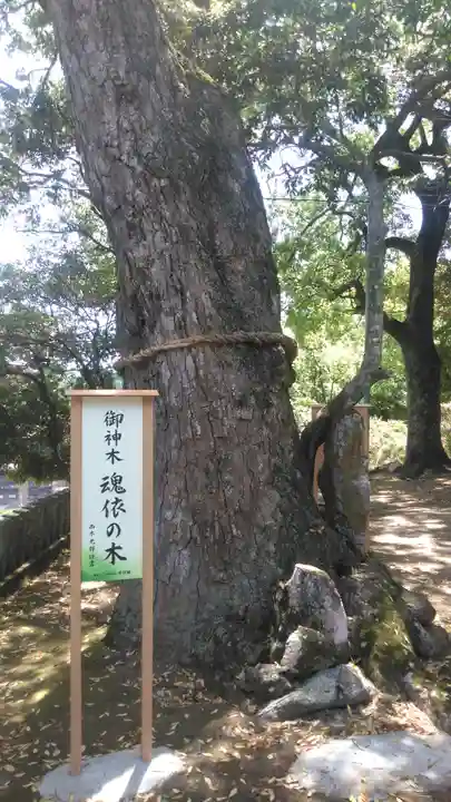 八幡竃門神社のその他建物