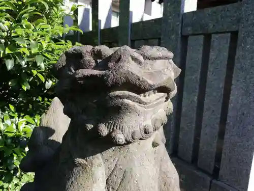 白金氷川神社の狛犬