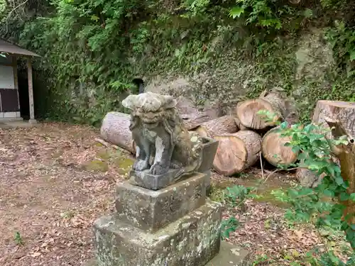 天満神社の狛犬