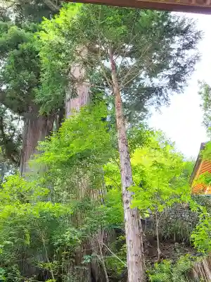 榛名神社の{uncategorized: "未分類", other: "その他", undefined: "問題あり", building: "その他建物", grave: "お墓", sacred_gate: "鳥居", guardian: "狛犬", statue: "像", buddha: "仏像", history: "歴史", nature: "自然", garden: "庭園", animal: "動物", pagoda: "塔", temizu: "手水舎", mountain_gate: "山門・神門", sanctuary: "本殿・本堂", subordinate: "末社・摂社", art: "芸術", scenery: "景色", jizo: "地蔵", ema: "絵馬", goshuin: "御朱印", omikuji: "おみくじ", items: "授与品その他", amulet: "お守り", goshuincho: "御朱印帳", eats: "食事", festival: "お祭り", votive_dance: "神楽", shichigosan: "七五三参", wedding: "結婚式", experience: "体験その他", initially: "初詣", around: "周辺", anti_infection: "感染症対策"}