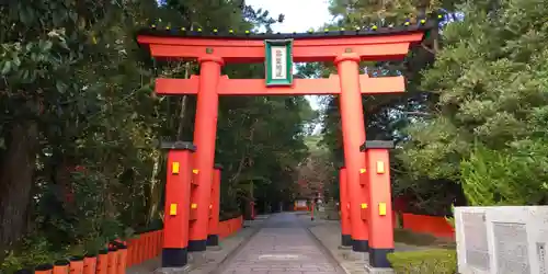 熊野速玉大社の鳥居