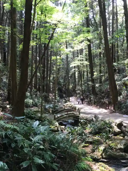 天の岩戸神社の周辺