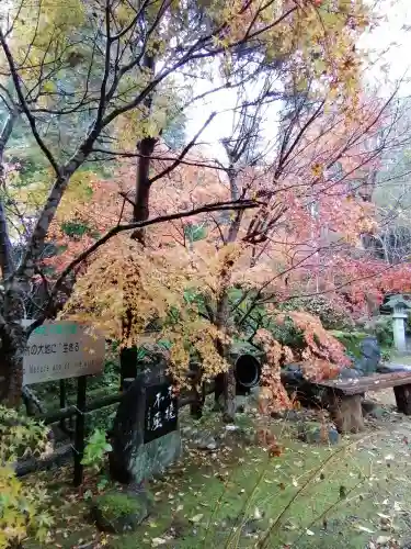 五所駒瀧神社の自然