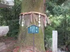 石山寺の自然