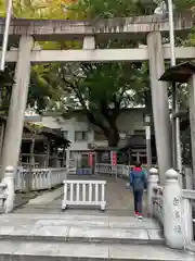 鳥越神社(東京都)