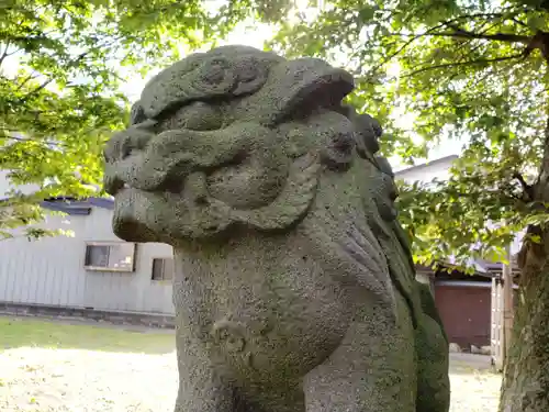 白山神社の狛犬