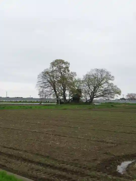 神明神社(千葉県)