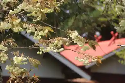 御札神社の自然