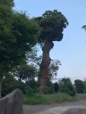 東大社(千葉県)