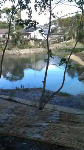 伏見稲荷大社の自然