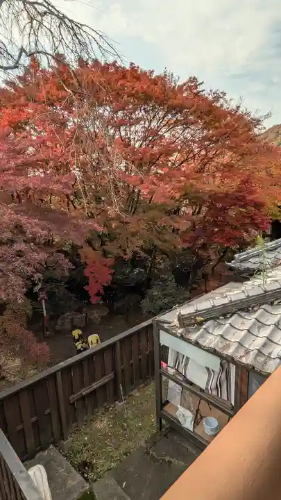 松ヶ崎大黒天 妙圓寺(妙円寺)(京都府)