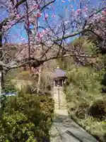 宝楽寺(福井県)