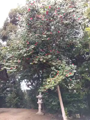 大国主命社(石川県)