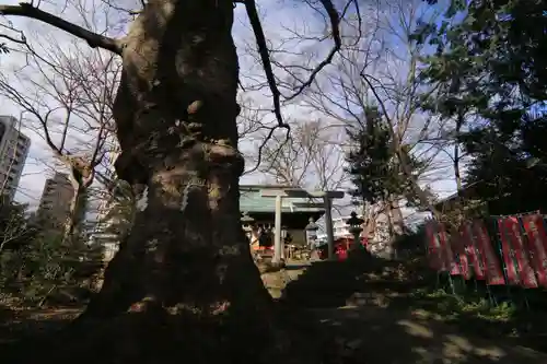 愛宕神社の自然
