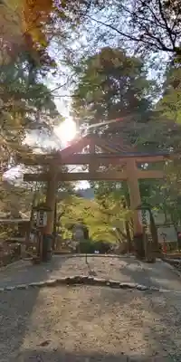 日吉大社(滋賀県)