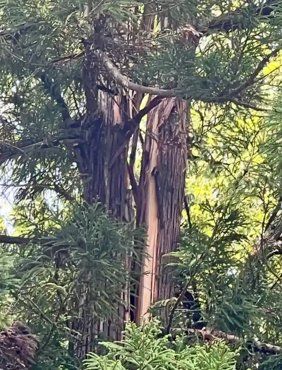 蚊里田八幡宮(長野県)