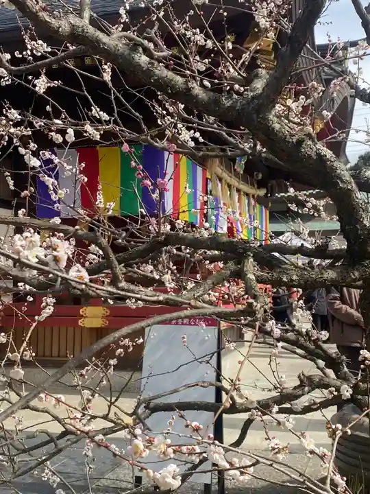 岩津天満宮(愛知県)