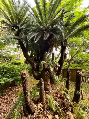 衣奈八幡神社(和歌山県)