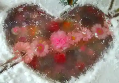 札幌諏訪神社の手水舎