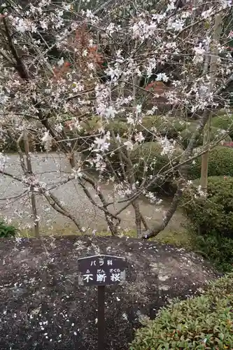 西明寺(滋賀県)