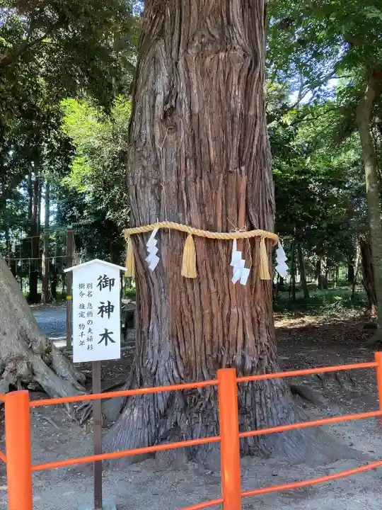 息栖神社の自然