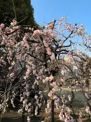 西向天神社(東京都)
