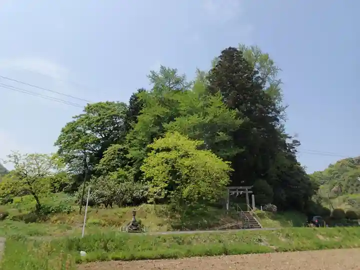 幡井神社の周辺